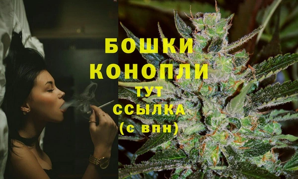 МДПВ Горняк