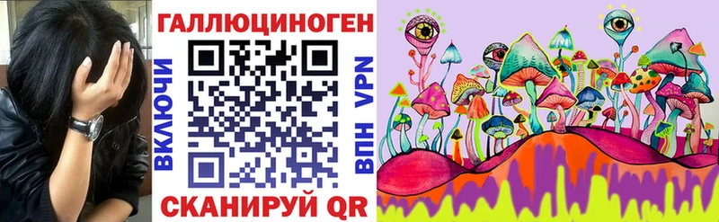 Купить закладки  Белая Холуница  Псилоцибиновые грибы мицелий 