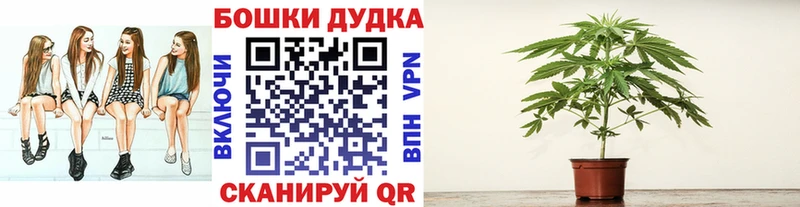 Купить закладки  Белая Холуница  Каннабис планчик 